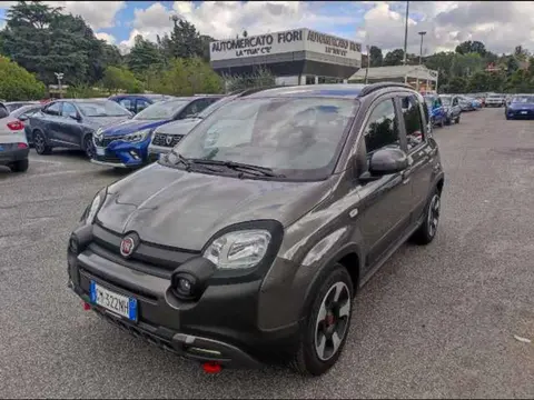 Used FIAT PANDA Hybrid 2023 Ad 