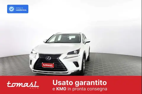 Used LEXUS NX Petrol 2020 Ad 