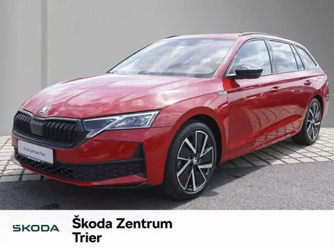 Annonce SKODA OCTAVIA Essence 2024 d'occasion 