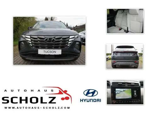 Annonce HYUNDAI TUCSON Hybride 2024 d'occasion 