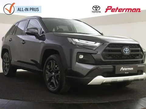 Annonce TOYOTA RAV4 Hybride 2023 d'occasion 