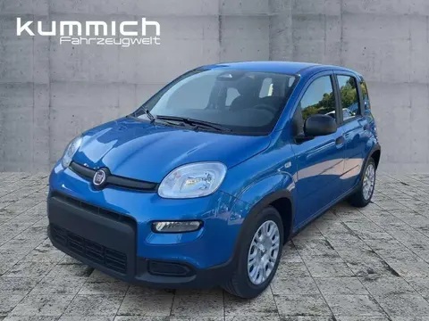 Annonce FIAT PANDA Hybride 2024 d'occasion 