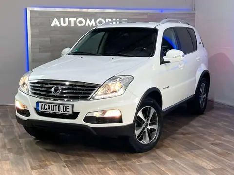 Used SSANGYONG REXTON Diesel 2017 Ad 
