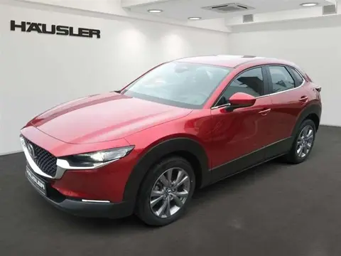 Annonce MAZDA CX-30 Essence 2024 d'occasion 