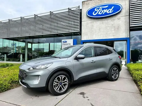 Used FORD KUGA Hybrid 2020 Ad 