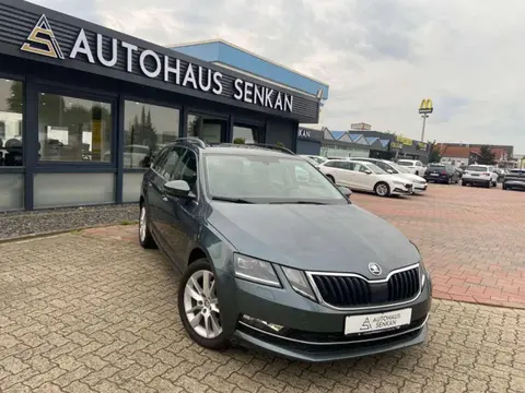 Used SKODA OCTAVIA Diesel 2019 Ad 