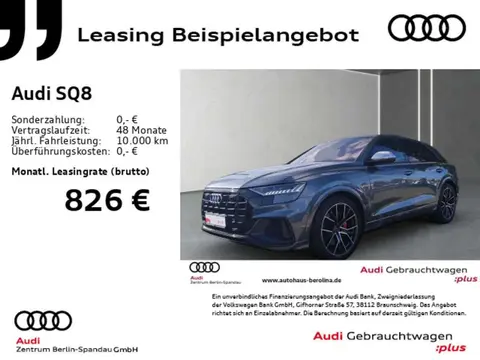 Used AUDI SQ8 Petrol 2023 Ad 