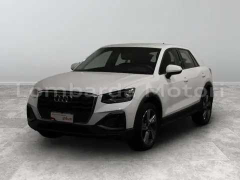 Used AUDI Q2 Diesel 2022 Ad 