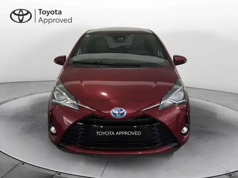 Annonce TOYOTA YARIS Hybride 2019 d'occasion 