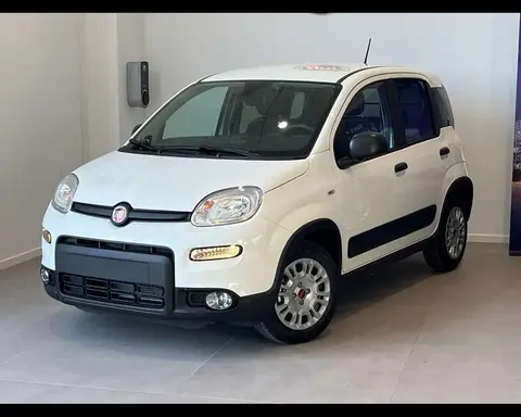 Annonce FIAT PANDA Diesel 2024 d'occasion 