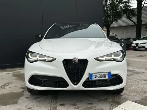 Annonce ALFA ROMEO STELVIO Diesel 2024 d'occasion 