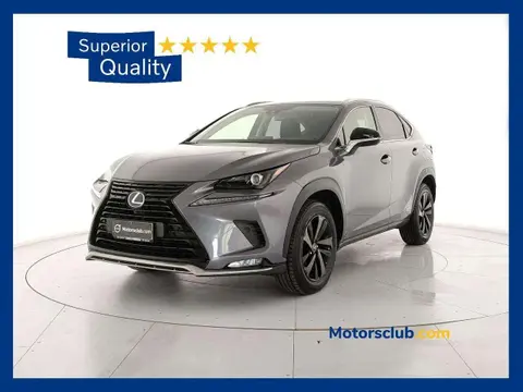 Used LEXUS NX Hybrid 2021 Ad 