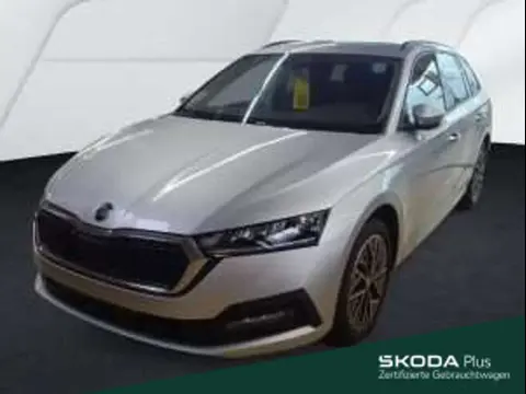 Annonce SKODA OCTAVIA Essence 2023 d'occasion 