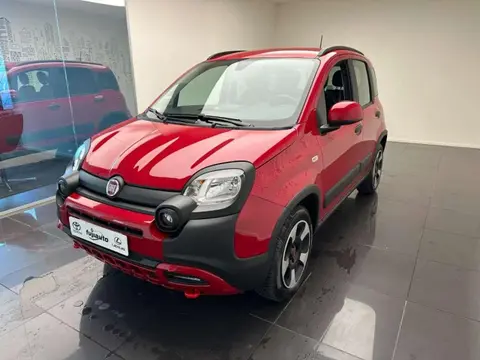 Used FIAT PANDA Hybrid 2024 Ad 