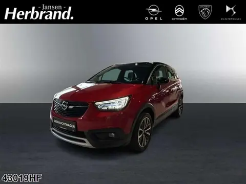 Used OPEL CROSSLAND Petrol 2021 Ad 