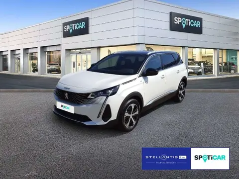 Annonce PEUGEOT 5008 Diesel 2024 d'occasion 