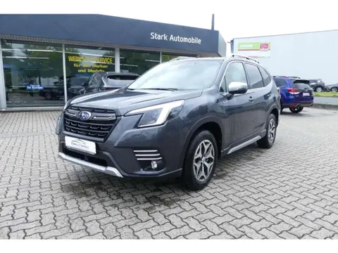 Used SUBARU FORESTER Petrol 2024 Ad 