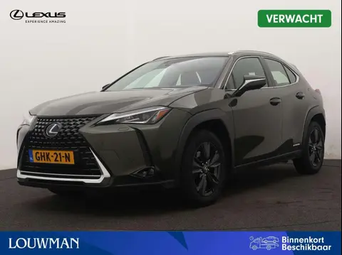 Annonce LEXUS UX Hybride 2022 d'occasion 