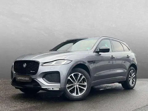 Annonce JAGUAR F-PACE Diesel 2024 d'occasion 