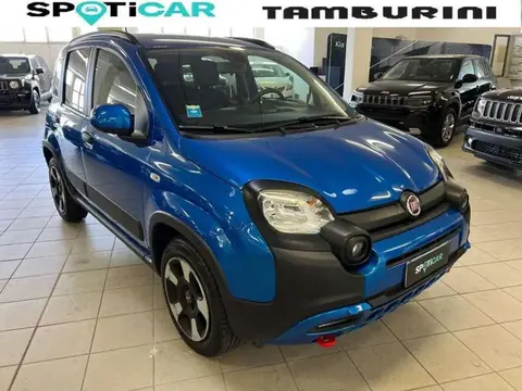 Annonce FIAT PANDA Hybride 2023 d'occasion 