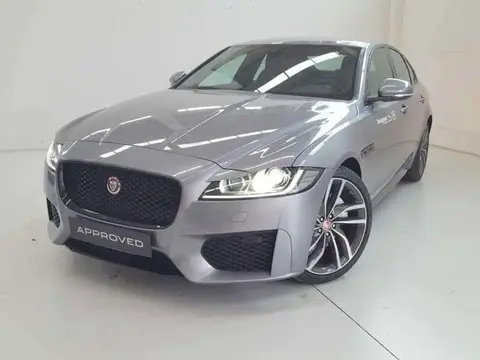 Annonce JAGUAR XF Diesel 2021 d'occasion 