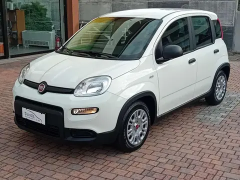 Used FIAT PANDA Hybrid 2024 Ad 