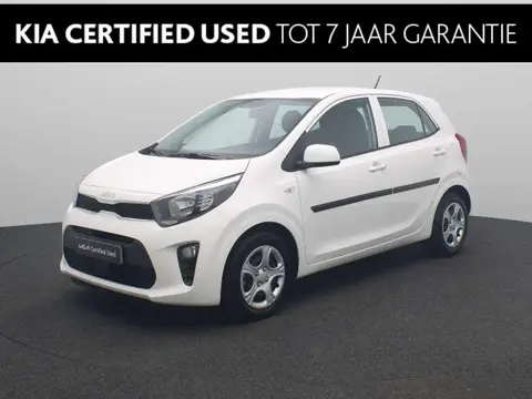 Used KIA PICANTO Petrol 2023 Ad 