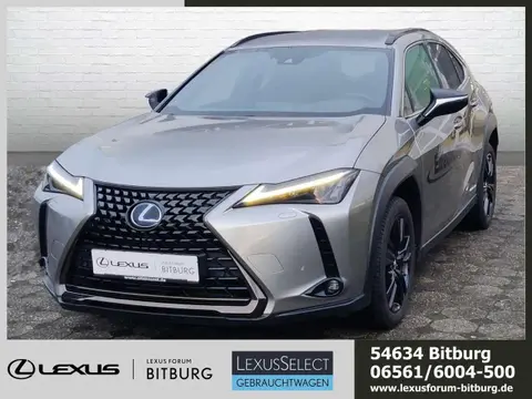 Annonce LEXUS UX Hybride 2022 d'occasion 