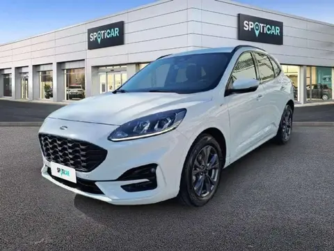 Annonce FORD KUGA Diesel 2021 d'occasion 