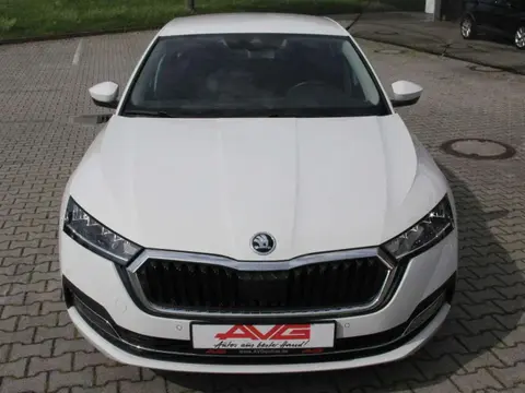 Used SKODA OCTAVIA Diesel 2023 Ad 