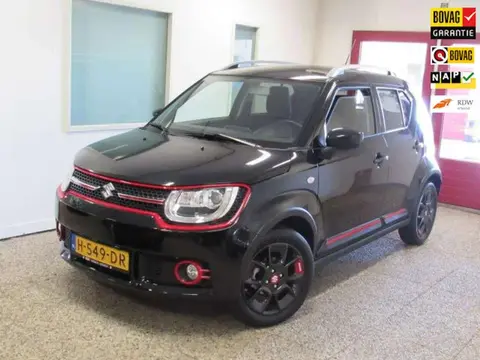 Used SUZUKI IGNIS Hybrid 2020 Ad 