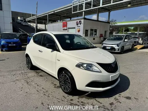 Used LANCIA YPSILON Hybrid 2024 Ad 