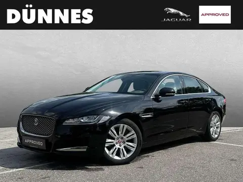 Used JAGUAR XF Diesel 2019 Ad 