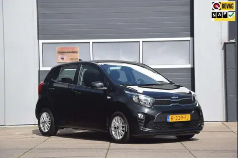 Used KIA PICANTO Petrol 2022 Ad 