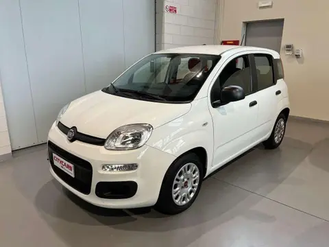 Used FIAT PANDA Hybrid 2021 Ad 