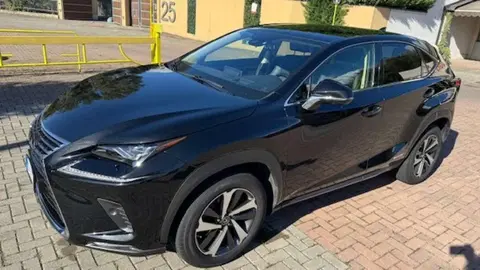 Used LEXUS NX Hybrid 2020 Ad 