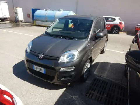 Annonce FIAT PANDA Hybride 2021 d'occasion 