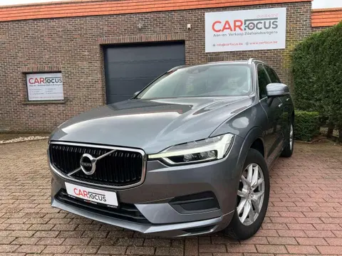 Annonce VOLVO XC60 Diesel 2018 d'occasion Belgique