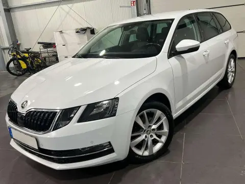 Annonce SKODA OCTAVIA Diesel 2019 d'occasion 