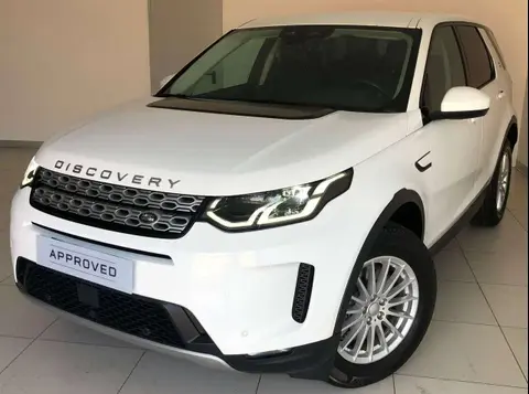 Annonce LAND ROVER DISCOVERY Diesel 2022 d'occasion 