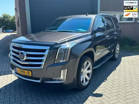 Used CADILLAC ESCALADE Petrol 2014 Ad 