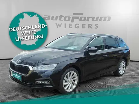 Used SKODA OCTAVIA Petrol 2023 Ad 