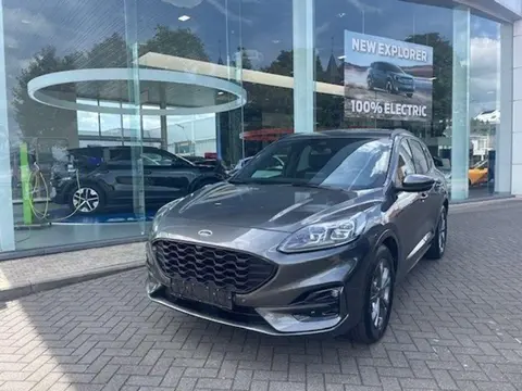 Used FORD KUGA Hybrid 2021 Ad 