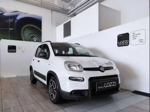 Used FIAT PANDA Hybrid 2022 Ad 