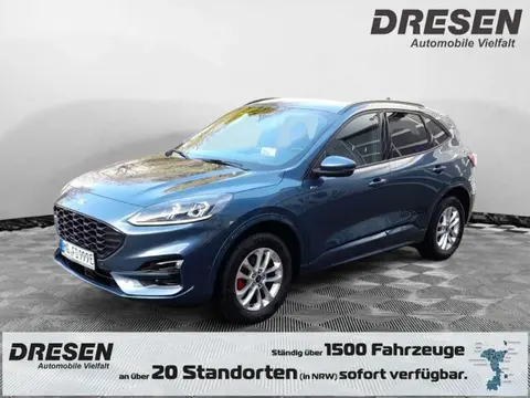 Annonce FORD KUGA Hybride 2023 d'occasion 