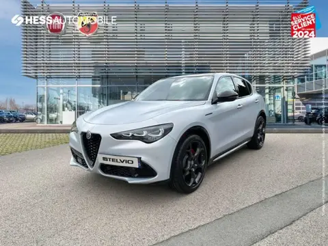 Annonce ALFA ROMEO STELVIO Diesel 2024 d'occasion 