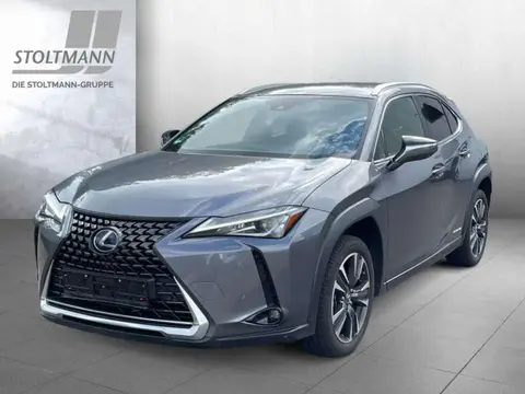 Used LEXUS UX Hybrid 2021 Ad 