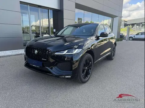 Used JAGUAR F-PACE Hybrid 2024 Ad 