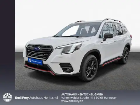 Annonce SUBARU FORESTER Hybride 2024 d'occasion 