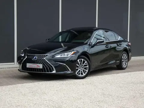 Annonce LEXUS ES Hybride 2022 d'occasion 